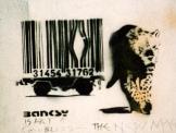 barcode tiger - detail view (opens popup window)