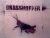 grasshopper - detail view (opens popup window)